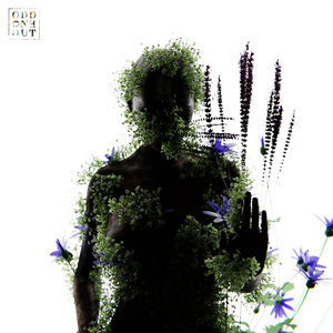 亚州色色一区二区
