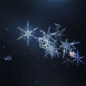 亚州色色一区二区
